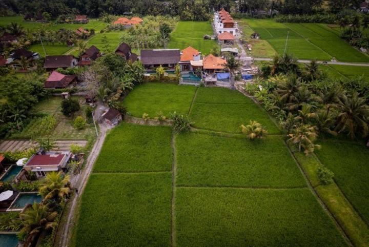 Uma Jala Villa Ubud Экстерьер фото