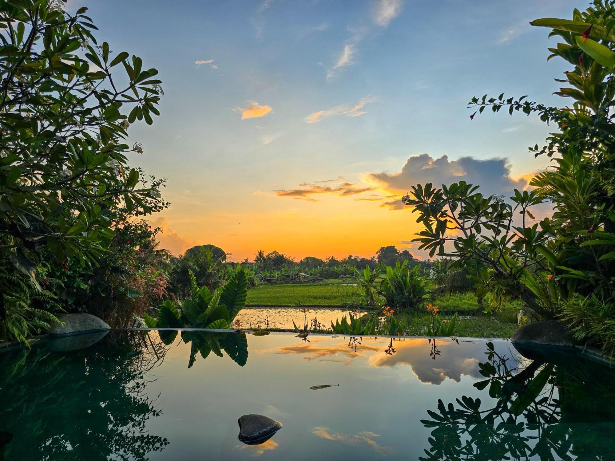Uma Jala Villa Ubud Экстерьер фото
